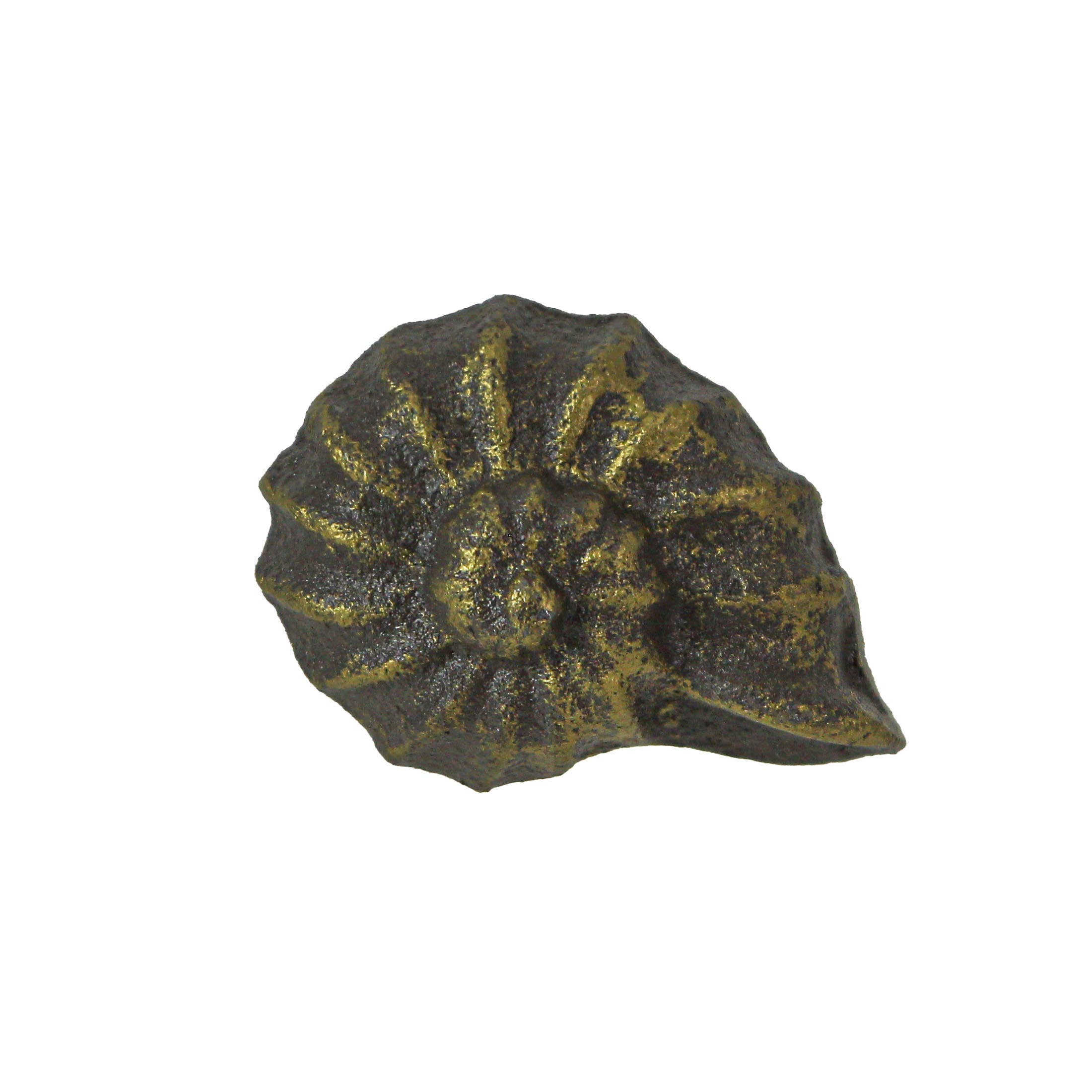 Rustic Bronze Cast Iron Nautilus Shell Drawer Pulls Set of 6