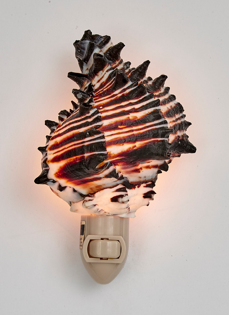 Black Murex LED Loose Night Light