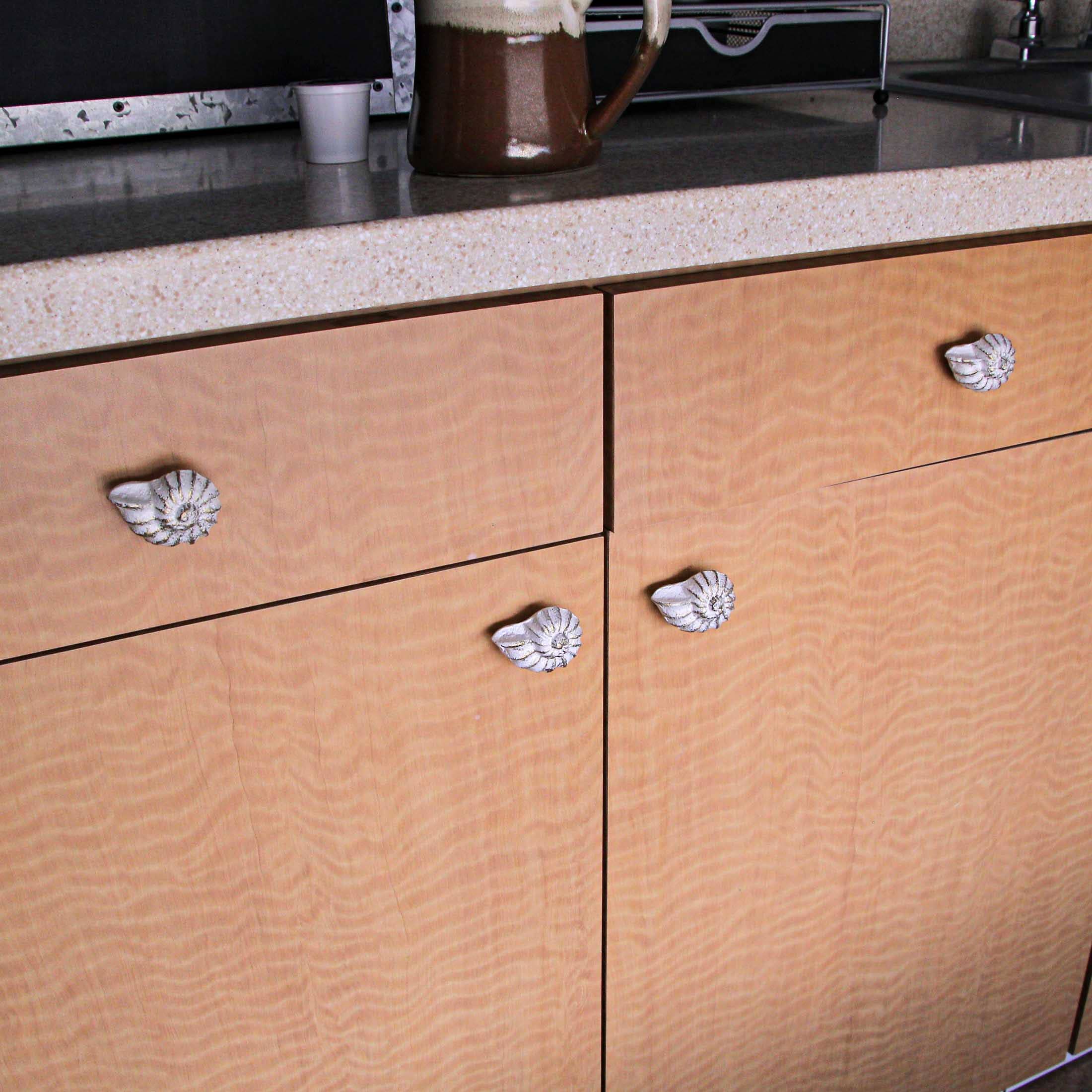 Rustic White Cast Iron Nautilus Shell Drawer Pulls Set of 6