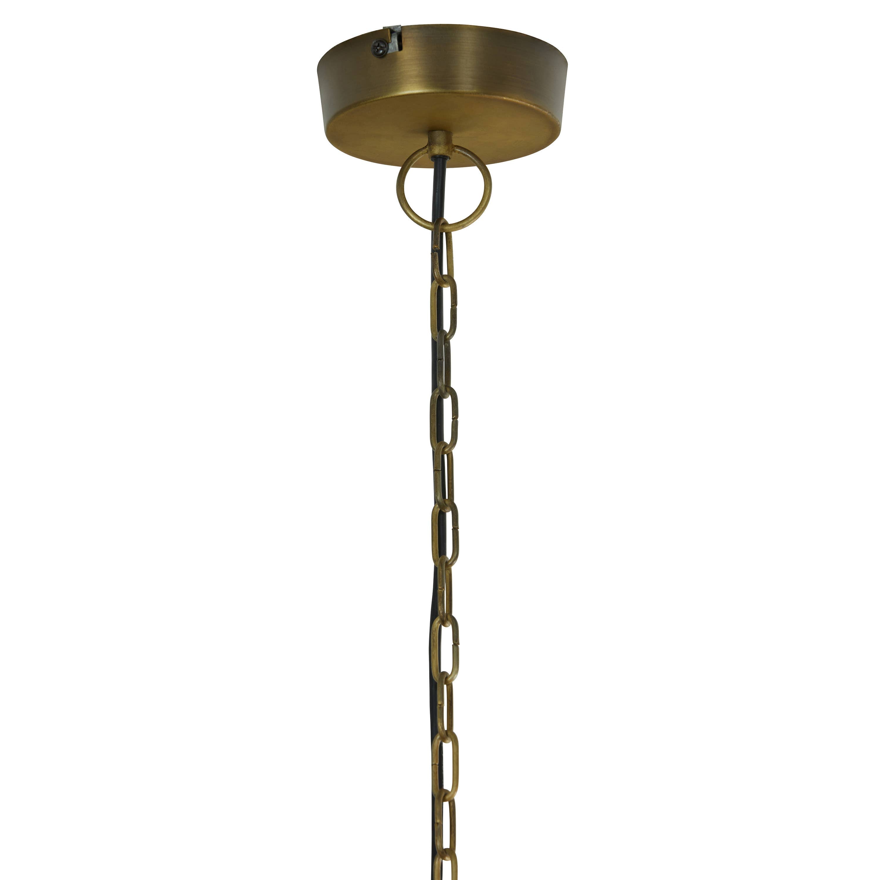 13"W Clear & Gold Glass and Metal Pendant Light
