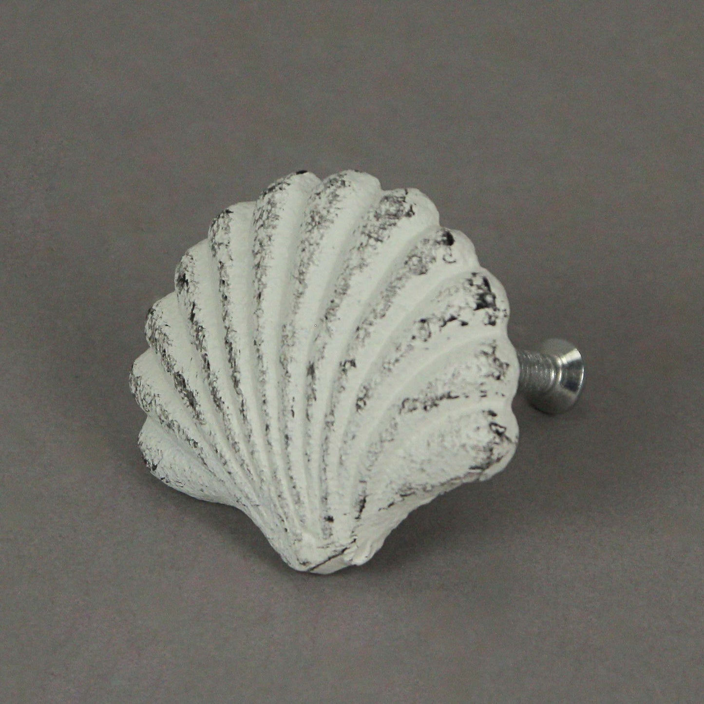 Set of 6 White Cast Iron Scallop Sea Shell Drawer Pulls
