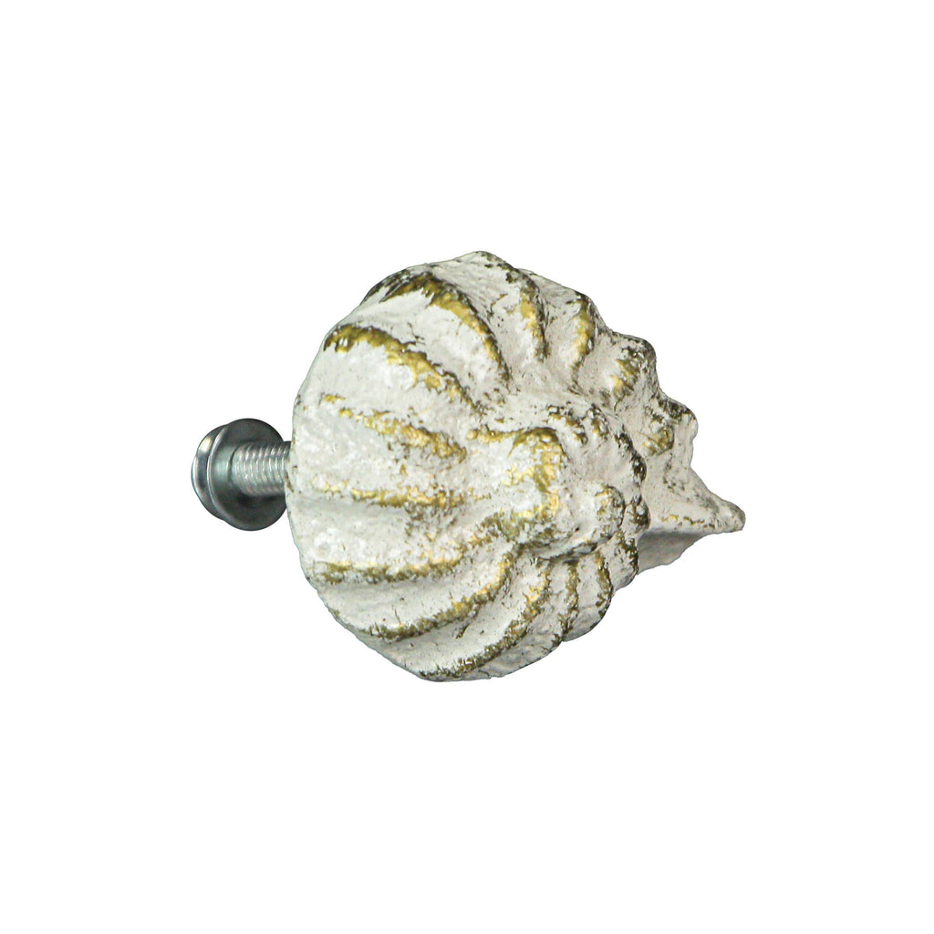 Rustic White Cast Iron Nautilus Shell Drawer Pulls Set of 6