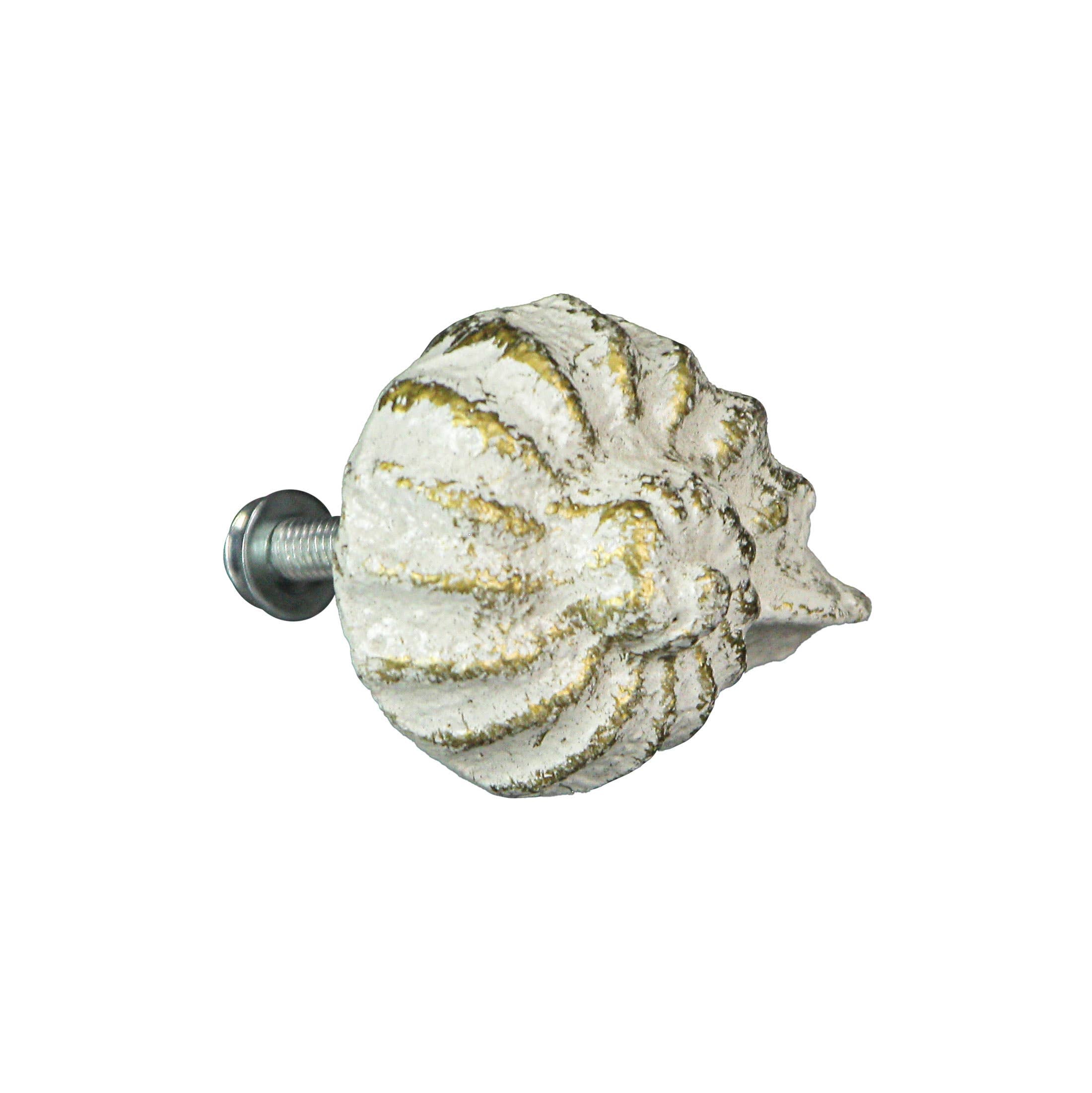 Rustic White Cast Iron Nautilus Shell Drawer Pulls Set of 6