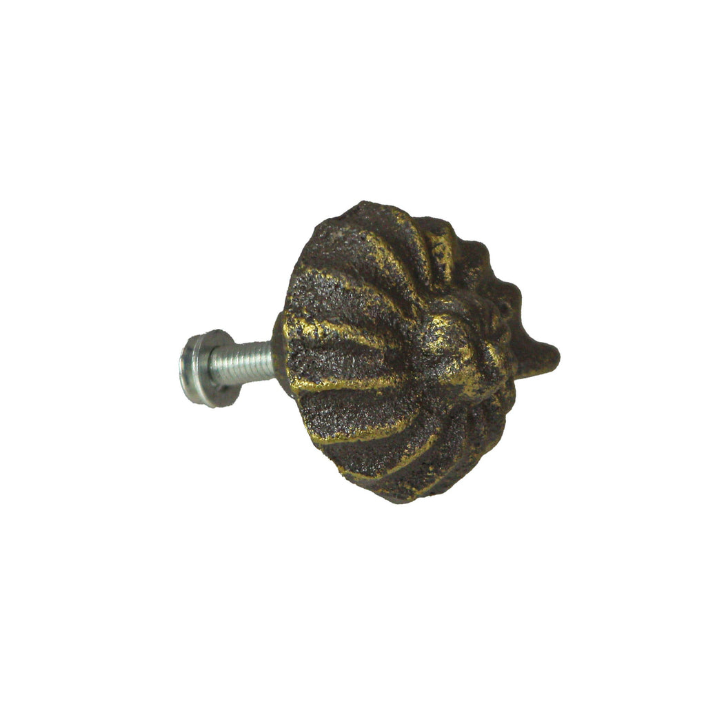 Rustic Bronze Cast Iron Nautilus Shell Drawer Pulls Set of 6