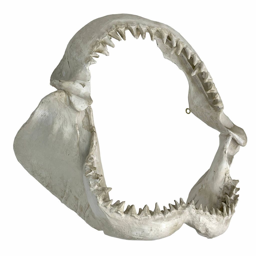 Replica Shark Jaw Wall Sculpture – Realistic Resin Shark Jaw