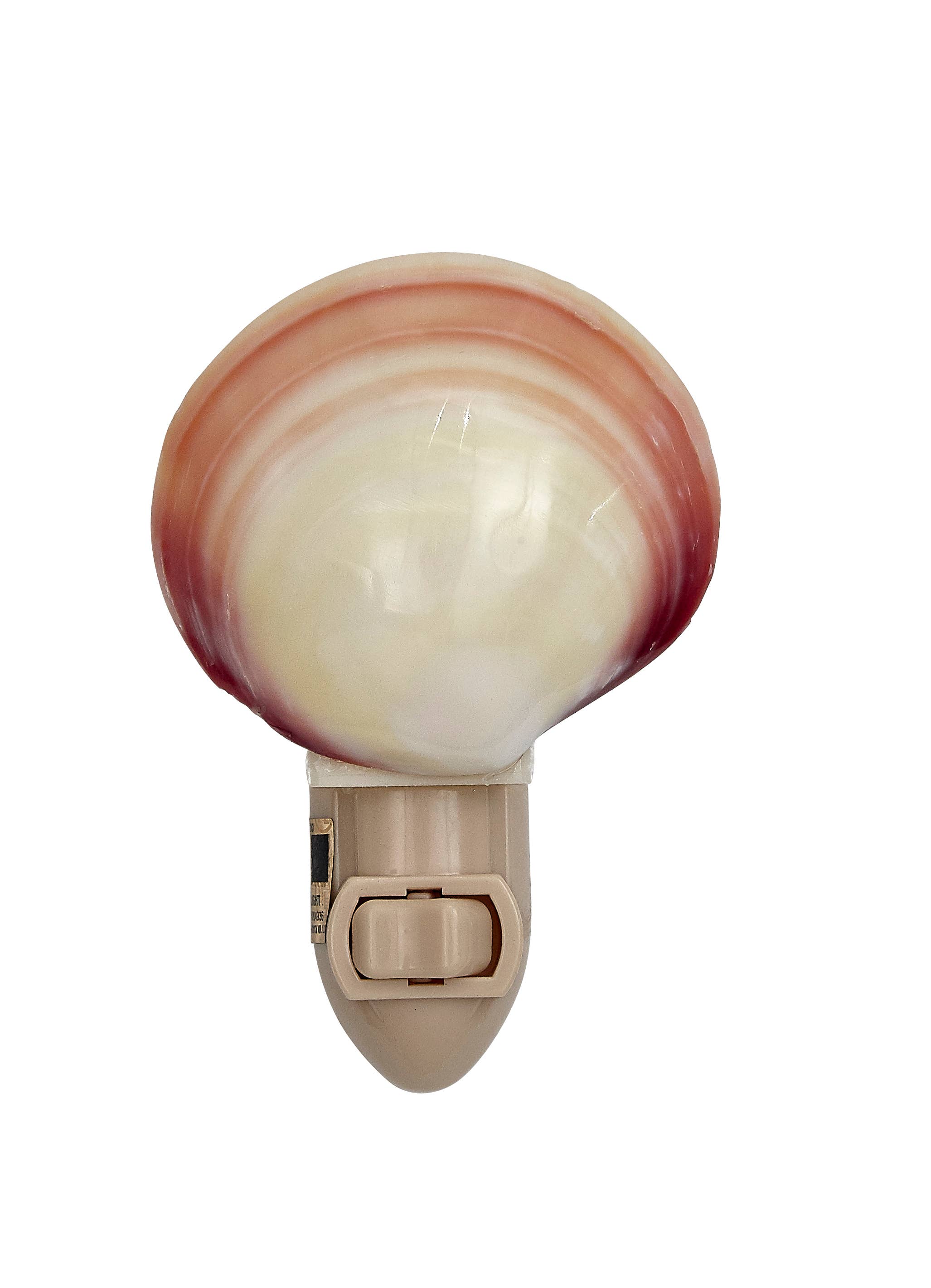 Polished Tiger Clam LED Loose Night Light