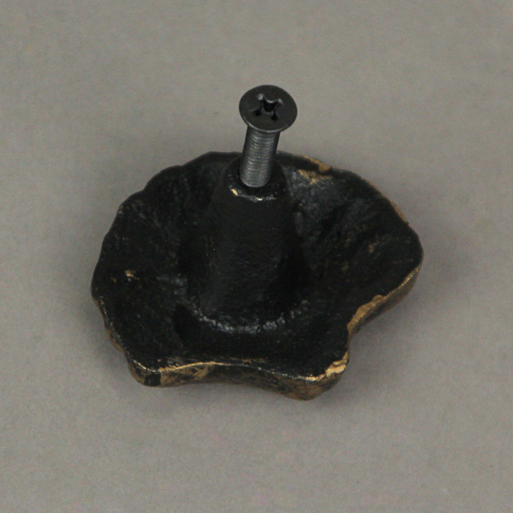 Set of 6 Gold Cast Iron Scallop Sea Shell Drawer Pulls