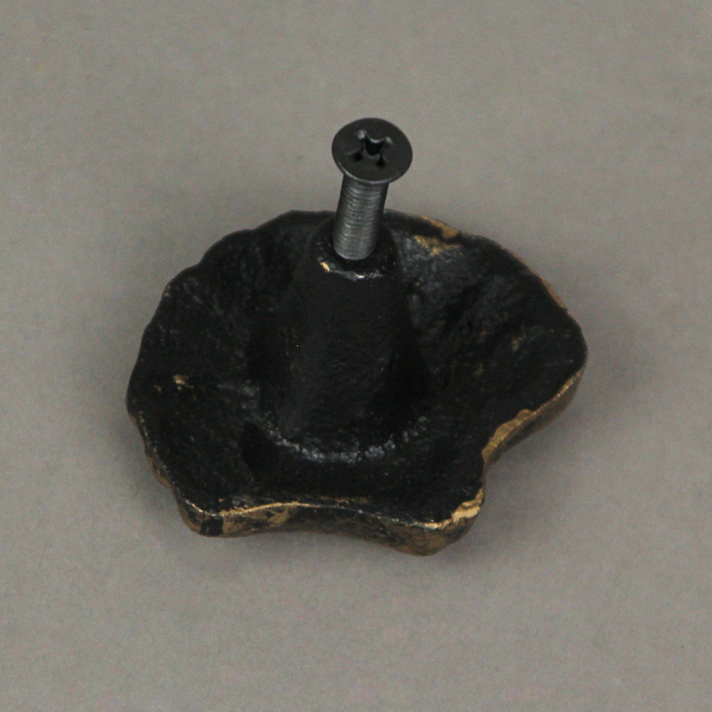 Set of 6 Gold Cast Iron Scallop Sea Shell Drawer Pulls